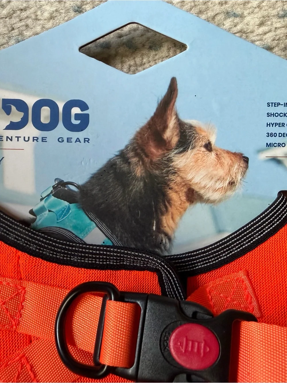 Liberty Bay Orange Dog Harness - Medium
